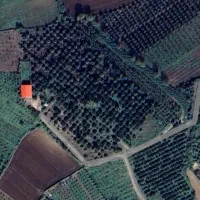 به یک کارگر جهت امور باغبانی نیازمندیم