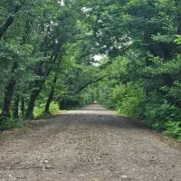 یک خانم جهت پذیرایی و نظافت نیازمندم