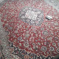 همخانه.هم خانه