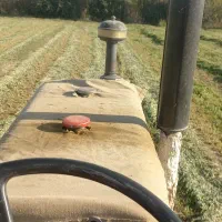 کاه یونجه درجه یک بیشتر گل هست|لوازم جانبی حیوانات|بروجرد, |دیوار