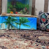 اکواریم  ماهی  با تمام وسایل