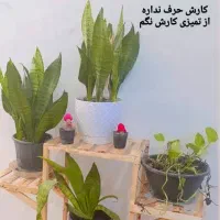 استندچوبی زیرگلدانی|صنایع دستی و سایر لوازم تزئینی|بندر ماهشهر, |دیوار