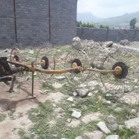 رگ یونجه