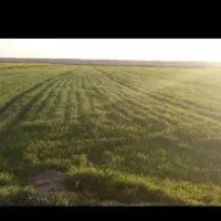 زمین کشاورزی زیرکانال ۱هکتارونیم پتک دیناروند