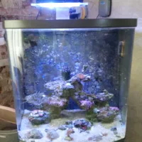 نور زد لایت و شوری سنج آکواریوم