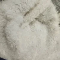 کاپشن سایز لارج|لباس|شاهین‌شهر, عطار|دیوار