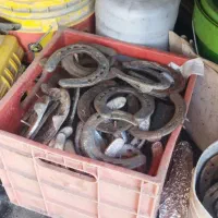 نعل اسب کارکرده