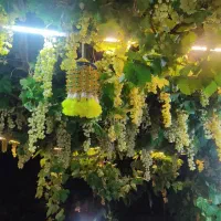 فروش-گاوداری