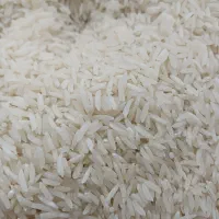 فروش نامحدود برنج فجر/ تهیه غذاهای محترم|خوردنی و آشامیدنی|باغستان, |دیوار