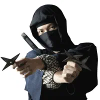 آموزش هنر رزمی نینجا