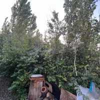 باغ ویلا۵۱۵ متر سنددار|فروش خانه و ویلا|هشتگرد, شهرک راه آهن|دیوار