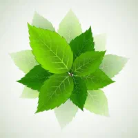 ترک انواع موادمخدر