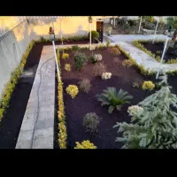 سمپاشی وباغبانی بامهرفاکتور شرکت درسراسرتهران|خدمات باغبانی و درختکاری|تهران, ونک|دیوار