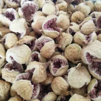 انجیر ارگانیک و تازه