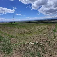 فروش زمین زراعی-روستای دلیکلی داش-ارشق