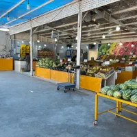 کارگر ساده میوه فروشی|استخدام خدمات فروشگاه و رستوران|یزد, |دیوار