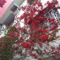 اجاره روزانه آپارتمان ۸۵ متری در مرکز لاهیجان