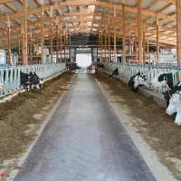 فروش گاوداری جلیان