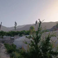 30-قصب-زمین-به-همراه-گلخانه-سیرچ
