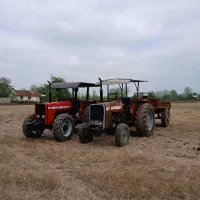 اجاره بیل بهکو تراکتور بارکش