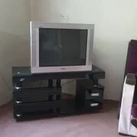 تلویزیون
