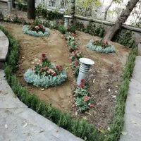باغبانی باغچه کاری گل کاری.هرس کاری.گل وگیاه.هروی|خدمات باغبانی و درختکاری|تهران, تهرانپارس غربی|دیوار
