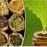 نتورک مارکتینگ جذب بازاریابان محصولات سلامت محور|استخدام بازاریابی و فروش|تهران, سهروردی|دیوار