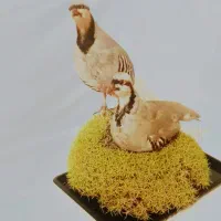 مجسمه|مجسمه، تندیس، ماکت|بن, |دیوار