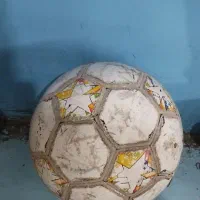 توپ فوتسال|تجهیزات ورزشی|تربت جام, جامی|دیوار