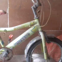 عکس ها رو ببین|حراج|فسا, |دیوار