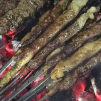 دنبلان بره کله  و ... زیرقیمت