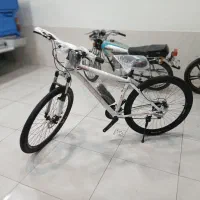 دوچرخه اکو چیاوا|دوچرخه، اسکیت، اسکوتر|بجنورد, |دیوار