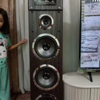 اسپیکر ایستاده، دو قلو، در حد نو با کارتون|سیستم صوتی خانگی|شیراز, ده پیاله|دیوار