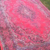 2فرش قرمز زیبا|فرش|رشت, جانبازان|دیوار