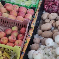 مغازه میوه و تره بار