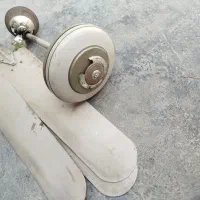 پنکه