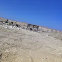 زمین مسکونی