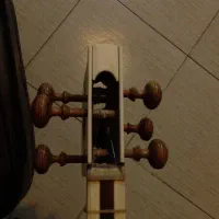 تار ۳ مهر در حد نو|سازهای سنتی|اراک, |دیوار