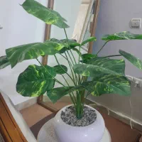 کوسن وگل مصنوعی