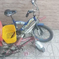 دوچرخه|دوچرخه، اسکیت، اسکوتر|تربتحیدریه, آغوی|دیوار