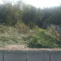 زمین-480متر-در-کمانگرکلا