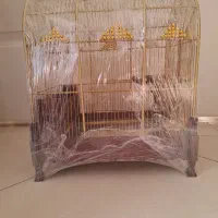 قفس برنجی گنبدی|لوازم جانبی حیوانات|تهران, بیسیم|دیوار