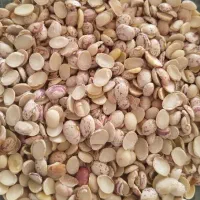 لوبیا لپه چیتی