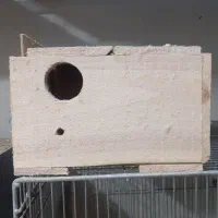 کلبه مرغ عشق تمام چوب