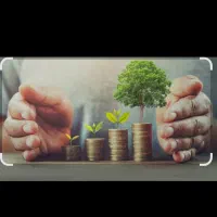 نیازمند شریک و سرمایه گذار