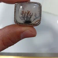 انگشتر شجر با شناسنامه