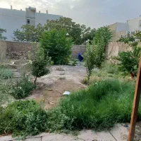 ویلایی فریمان