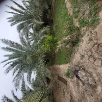 نیاز به کشاورز و باغدار