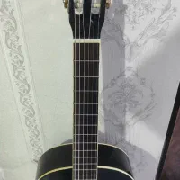 گیتار هونفر بلک