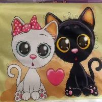 روبالشتی کودک ونوجوان|رختخواب، بالش، پتو|بیرجند, |دیوار